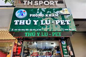 mẫu bảng hiệu quảng cáo Vũng Tàu đẹp hiện đại thu hút khách hàng